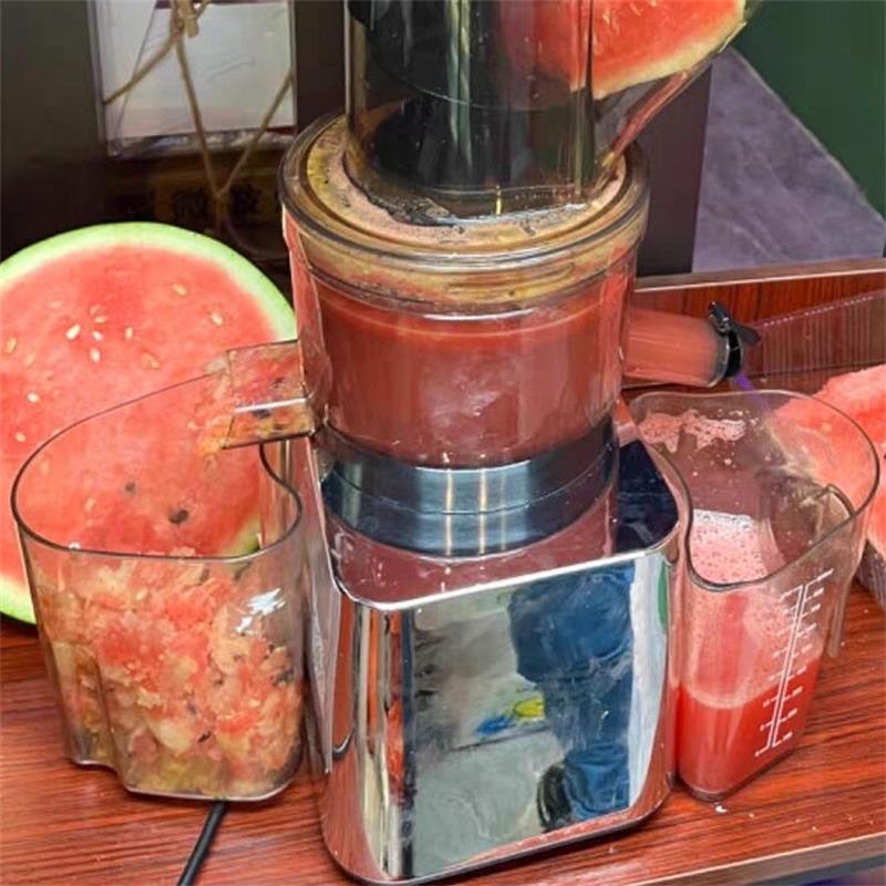 Cold Press Juicer - 500W Commercial Use Home Use Slow