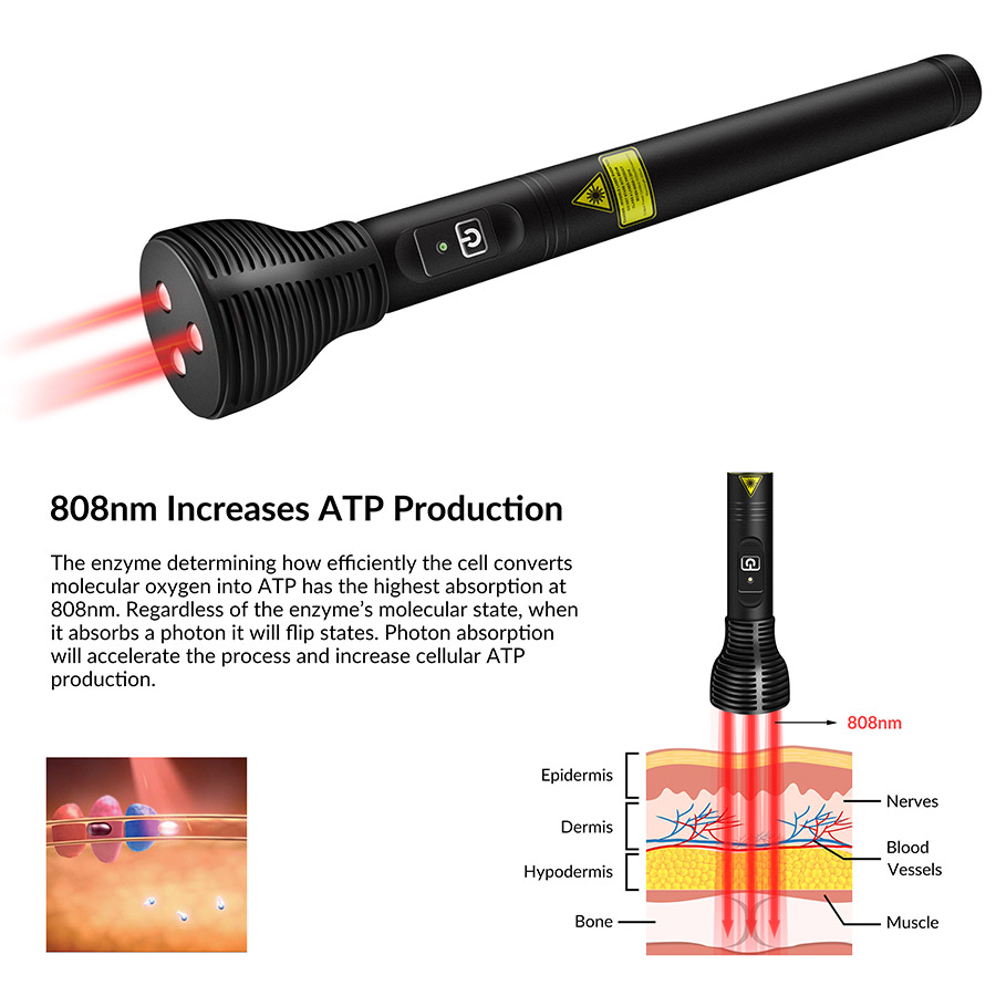 Home Use Handheld 808nm Red Li - Red Light Therapy Device 评论和价格