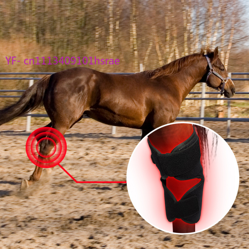 Built-in Battery Horse Red Lig - Red Light Therapy Device 评论和价格