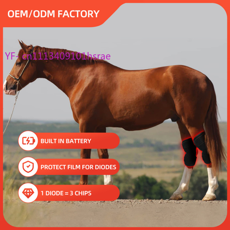 Built-in Battery Horse Red Lig - Red Light Therapy Device 评论和价格