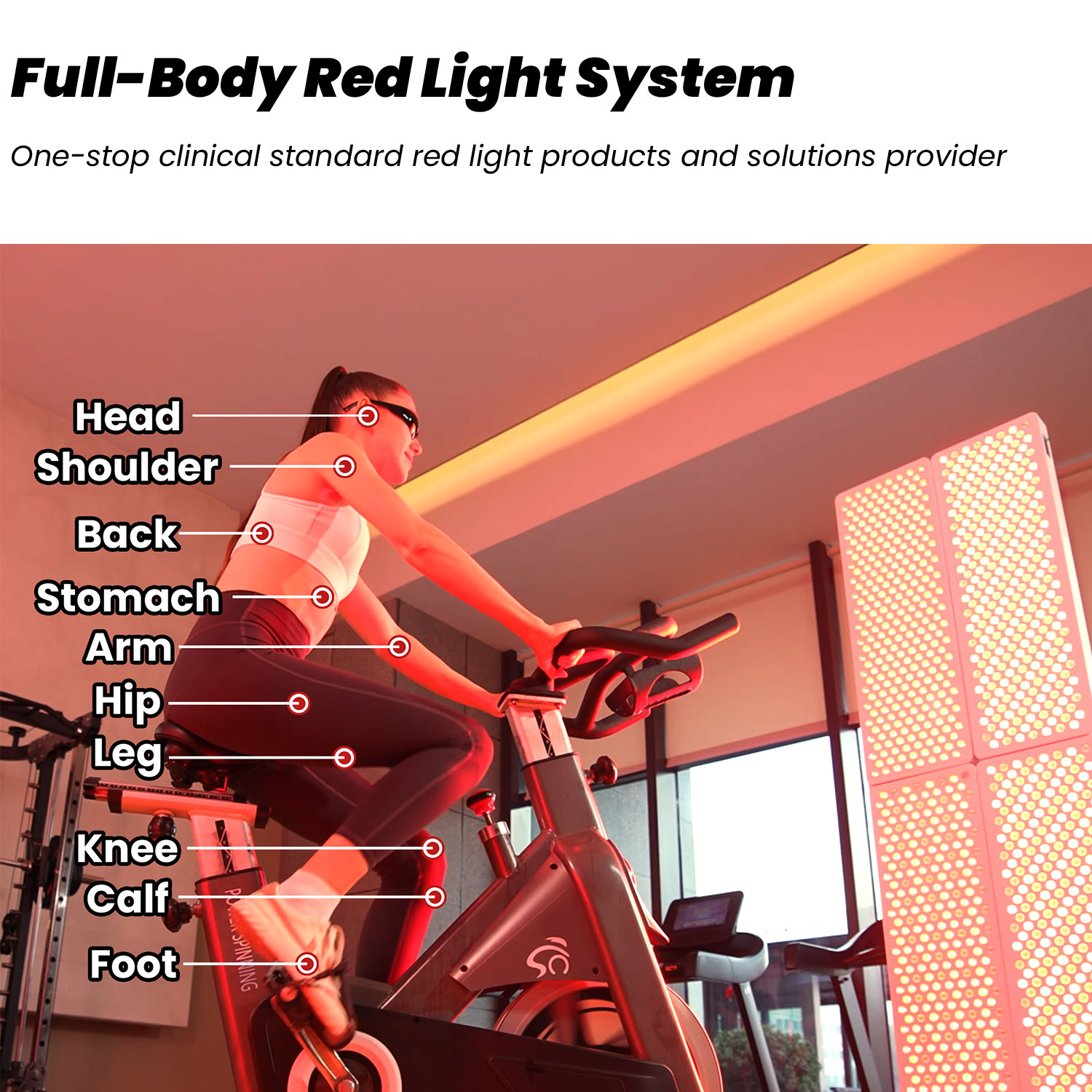 2026 IDEATHERAPY RL300MAX-CH F - Red Light Therapy Device 评论和价格