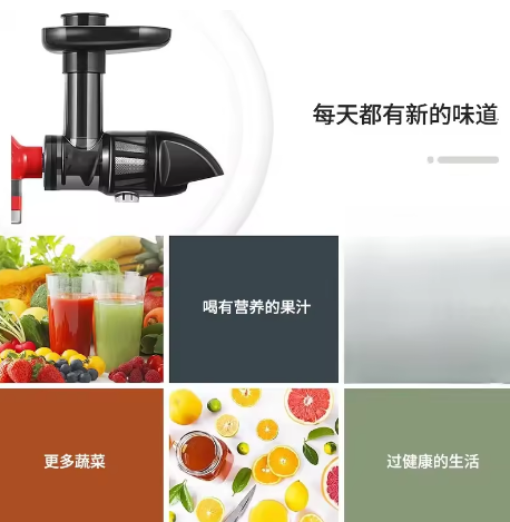 Horizontal Slow Masticating Ju - Cold Press Juicer 评论和价格