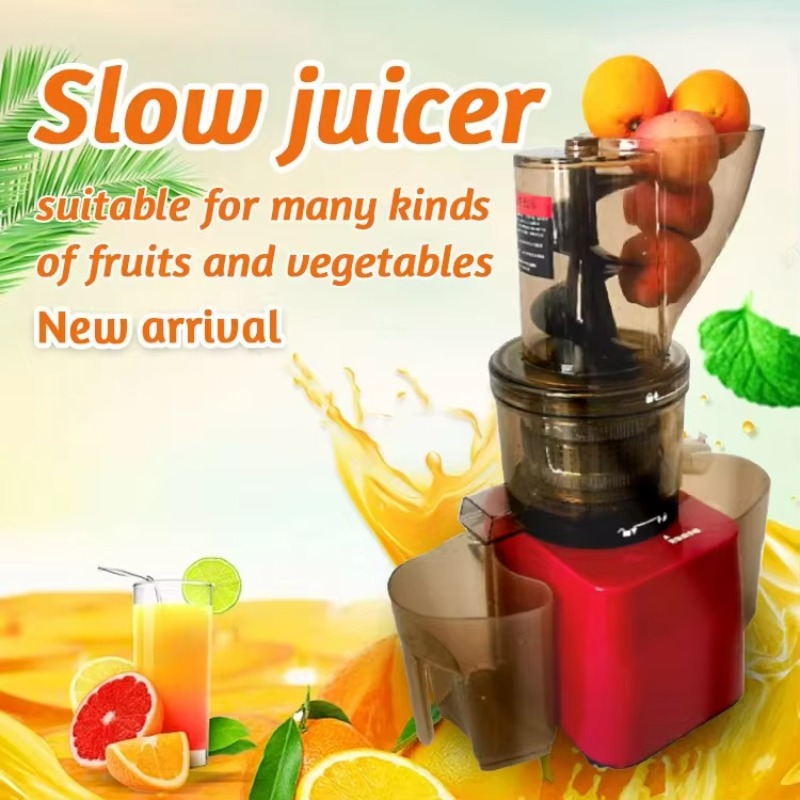 Stainless Steel Fruit Vegetabl - Cold Press Juicer 评论和价格