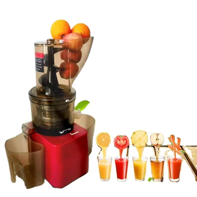 Stainless Steel Fruit Vegetabl - Cold Press Juicer 评论和价格