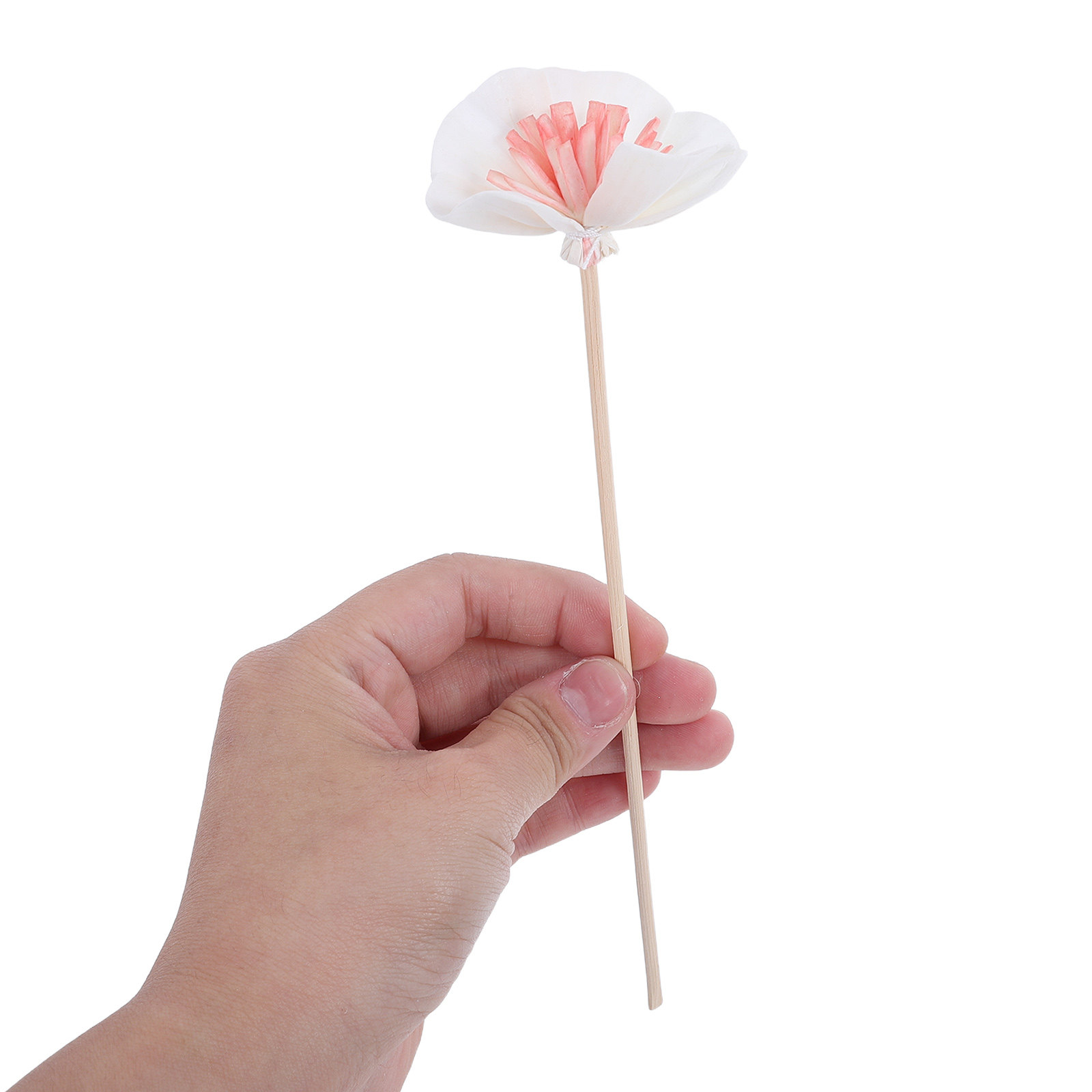 10Pcs Essential Oil Diffuser S - Aromatherapy Diffuser 评论和价格