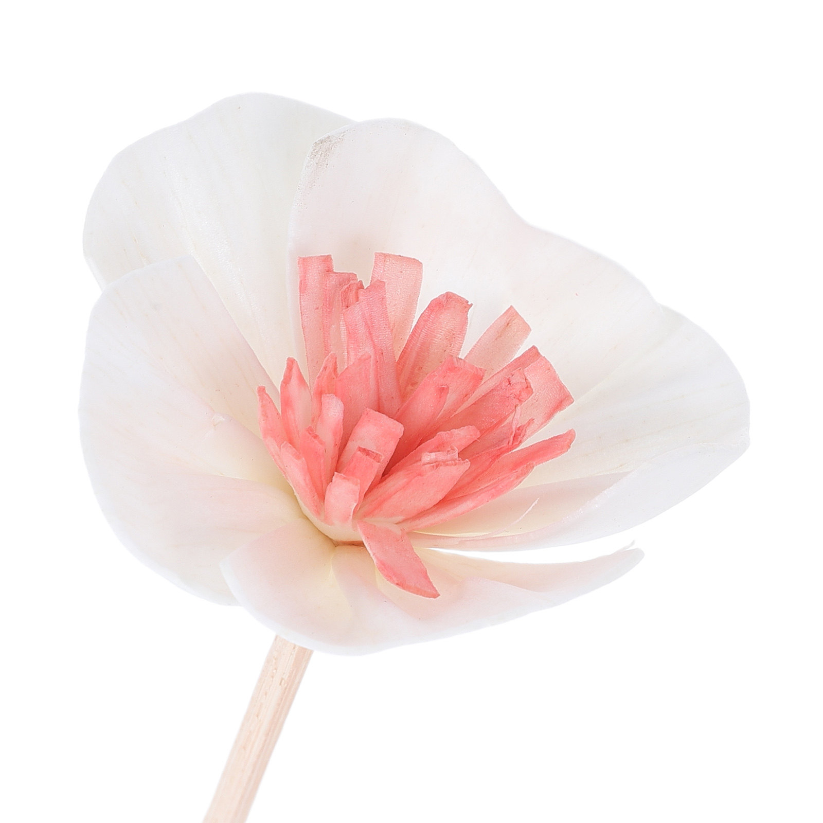 10Pcs Essential Oil Diffuser S - Aromatherapy Diffuser 评论和价格