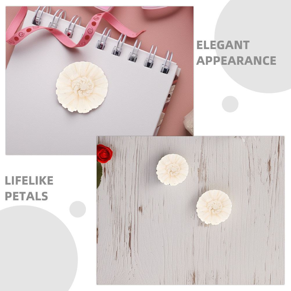 8Pcs Floral Diffuser Sola Chry - Aromatherapy Diffuser 评论和价格