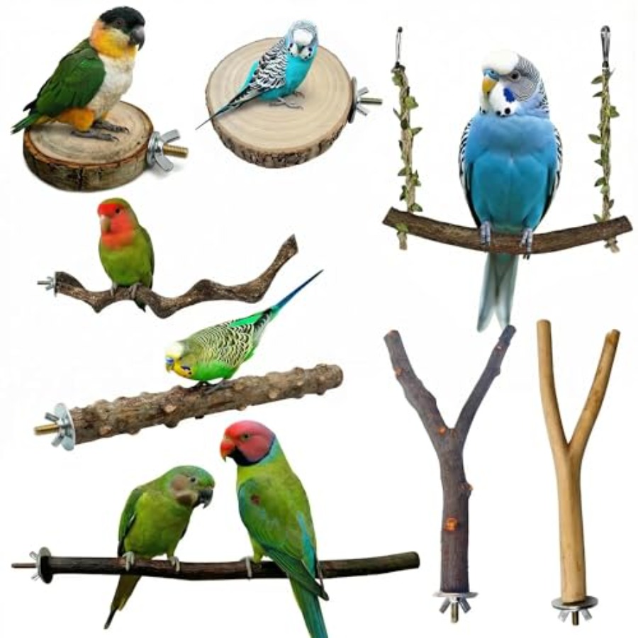 8PCS natural wood bird perches - Health & Wellness Naics Code 评论和价格