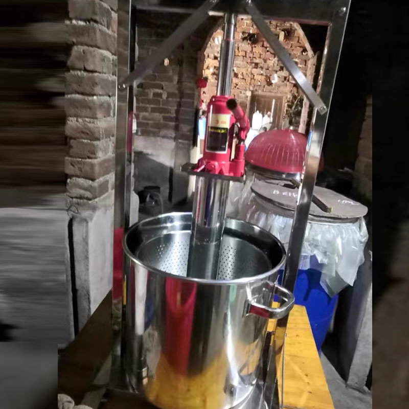 Fruit Juice Cold Press Juicing - Cold Press Juicer 评论和价格