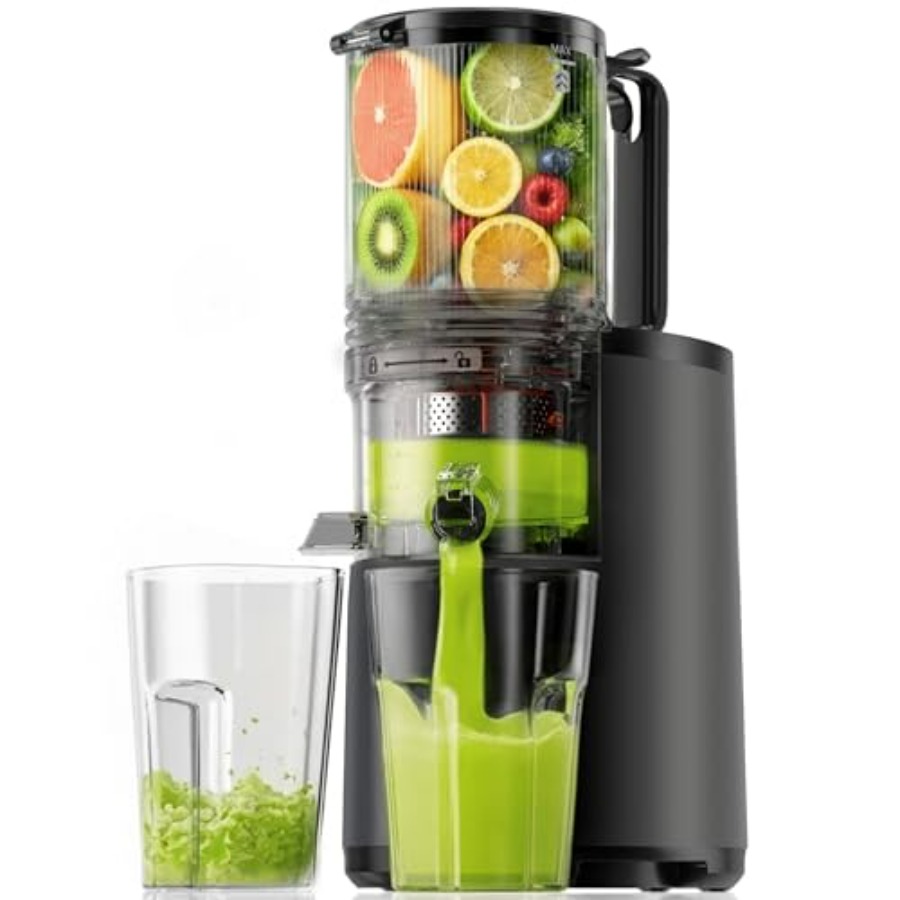Cold Press Juicer Machines EUH - Cold Press Juicer 评论和价格