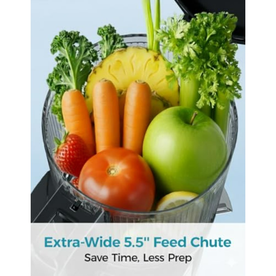 Cold Press Juicer Machines EUH - Cold Press Juicer 评论和价格