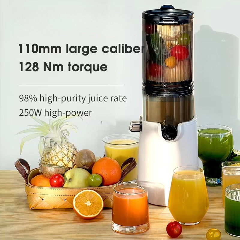 Hot Sale Big Mouth Cold Press  - Cold Press Juicer 评论和价格