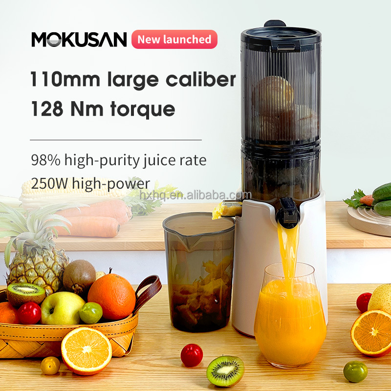 Hot Sale Big Mouth Cold Press  - Cold Press Juicer 评论和价格